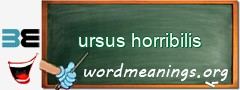 WordMeaning blackboard for ursus horribilis